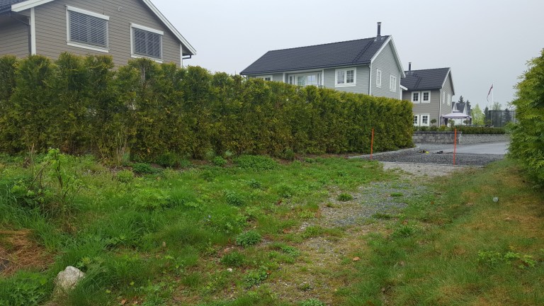 2018-05-11-04 (Custom).jpg