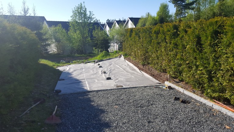 2018-05-11-07 (Custom).jpg