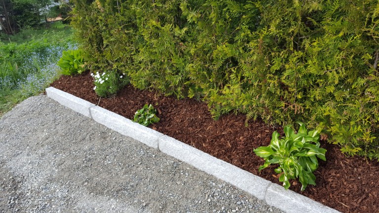 2018-05-21-05 (Custom).jpg